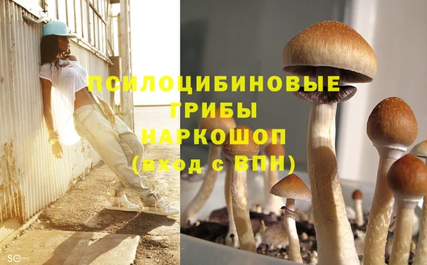 каннабис Аркадак